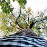 WNA Berpose Telanjang di Pohon Keramat Bali, Pelaku Mengaku Tak Sadar Kawasan Itu Suci