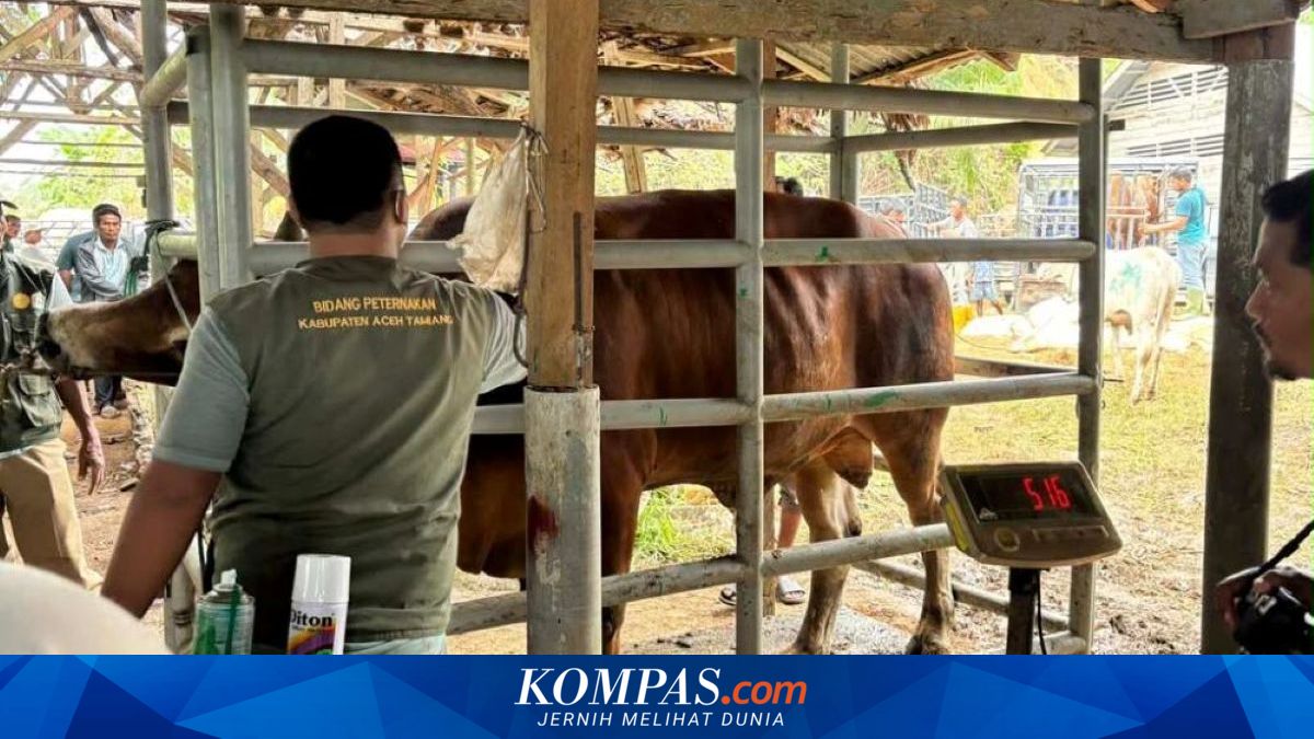 Percepat Pemulihan Peternak Terdampak Bencana Sumatera, Satgas PRR Siapkan Bantuan Pakan Ternak di Aceh
