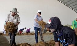 Anggota Komisi I DPR Soroti Nasib Petani Tembakau di Madura yang Kian Memprihatinkan