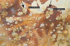 Ini Ancaman atas Kelestarian Lukisan Stensil Tangan Tertua di Dunia di Maros