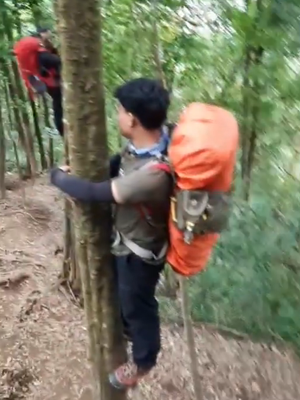Tangkapan layar pendaki melindungi diri dari serudukan babi hutan dengan cara naik ke atas pohon di Gunung Cikuray, Sabtu (19/9/2020).