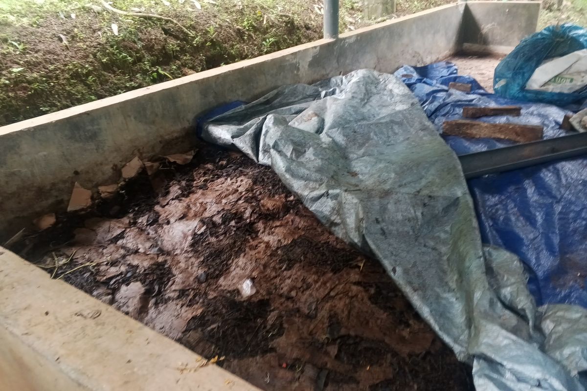 Tempat untuk membuat kompos di kebun Iim Suherman di Tasikmalaya pada Rabu (8/4/2026). Tempat pengelolaan kompos untuk mengelola manggis yang tidak layak untuk diekspor dan dijual di pasar domestik, sampah kulit manggis, sampai gulma hasil penyiangan.