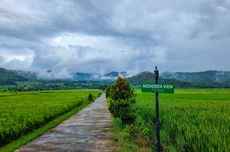 Aktivitas di Menoreh View Kulon Progo, Kulineran hingga Gowes Tengah Sawah