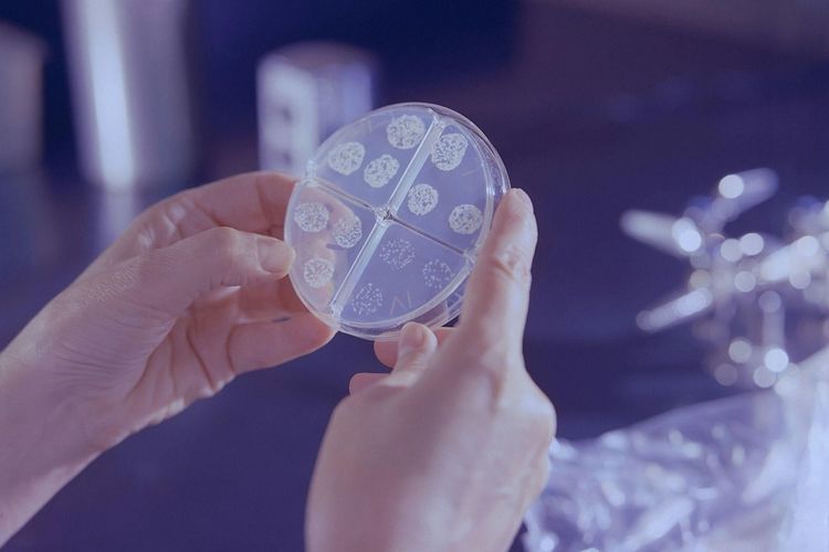Hadapi Resistensi Antibiotik, Pfizer Perkuat Dukungan terhadap Inovasi Kesehatan