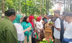 Dorong Produk Hasil Hutan Bukan Kayu, Kemenhut Gelar Pasar Rehabilitasi Hutan