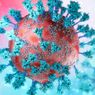 Pahami Bagaimana Virus Corona Bermutasi dan Apa Saja Variannya