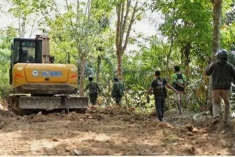 Dua Orang Jadi Tersangka Pembukaan Jalan Ilegal di TNBBS Lampung, Satu Unit Excavator Disita