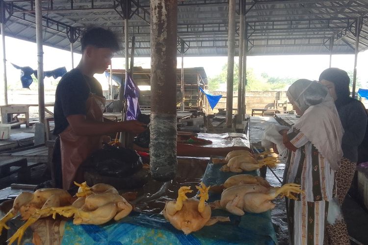 Harga Ayam di Luwu Naik, Pedagang Sebut Diduga Faktor BBM