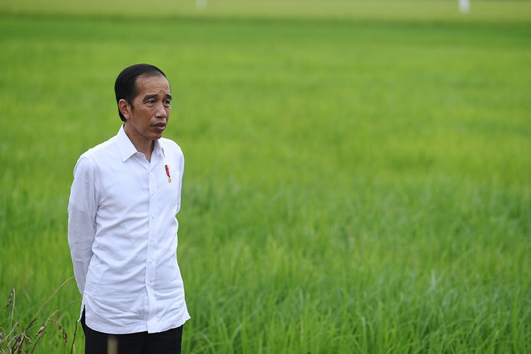 Presiden Joko Widodo meninjau lahan yang akan dijadikan Food Estate atau lumbung pangan baru di Pulang Pisau, Kalimantan Tengah, Kamis (9/7/2020). Pemerintah menyiapkan lumbung pangan nasional untuk mengantisipasi krisis pangan dunia.
