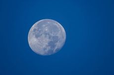 Apakah Manusia Bisa Berlari di Bulan? Ini Kata Ilmuwan 