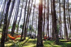 15 Wisata Alam di Bandung Saat Nataru, Cocok untuk Healing