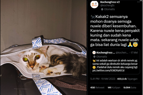 Apa Itu Penyakit Kuning pada Kucing? Ini Penjelasan Dokter