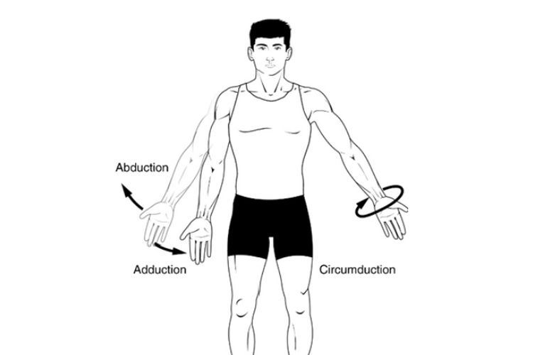 Gerak Adduksi Pengertian Dan Contohnya