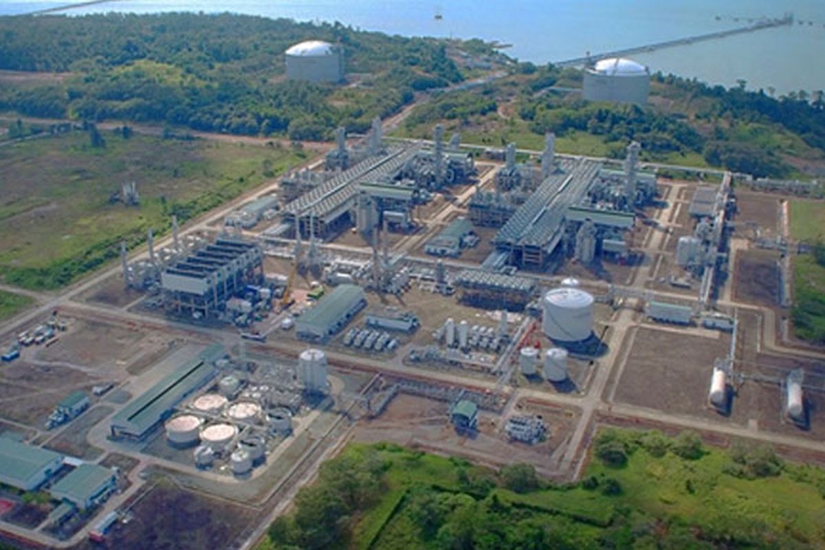 Operator Tangguh LNG Target Rehabilitasi 7.000 Hektar Lahan di Papua Barat