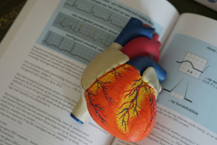 Setelah Pasang LVAD, Ibu S Bisa Masak dan Jualan Lagi