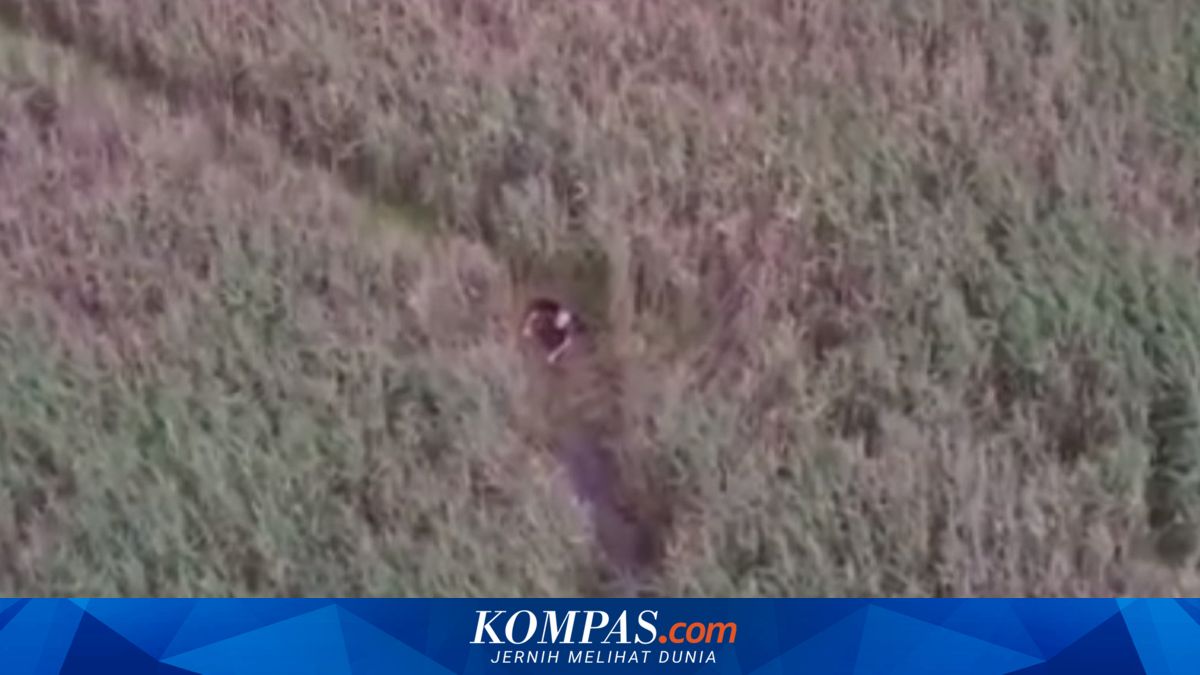 Terjebak di Rawa-rawa Hampir 24 Jam, Pria Ini Selamat Berkat 