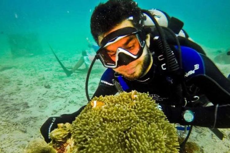 Ikan Anemon bermain di kedalaman 10 meter di Rubiah Jetty Dive Spot, Pulau Weh, Sabang, (2/1/2016). Di lokasi taman karang seluas 500 meter persegi ini telah dibangun miniatur tugu kilometer nol bawah laut oleh Panglima Laot Iboh bersama warga setempat dan tim selam dari Scuba Weh Diving Center, Rubiah Tirta, dan Hore-Hore Dive Club (H2DC) Aceh. 