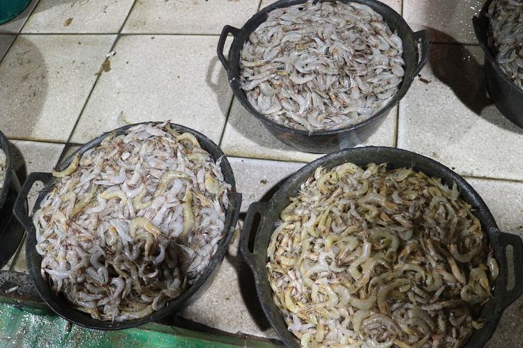 Hasil laut berupa udang yang dijual di PIM Muara Baru. Harga jual mulai dari Rp 60.000 per kilogram. Jenis udang yang dijual ada dua yaitu udang tambak dan udang laut.