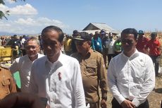 Di Sumbawa, Jokowi Ungkap Penyebab Turunnya Harga Jagung