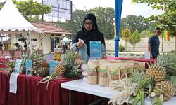 Nanas Moris, Modal Kecil UMKM Kampar Menggerakkan Ekonomi