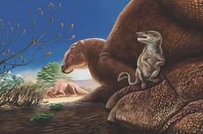 Fosil Spesies Mamalia dari Zaman Dinosaurus Ditemukan di Gurun Gobi