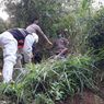 Mayat Pria Ditemukan di Puncak Bukit Wilayah Tasikmalaya Utara