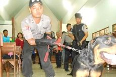 Anjing Pelacak Disiagakan di Perbatasan Indonesia-Malaysia, Ada Apa? 