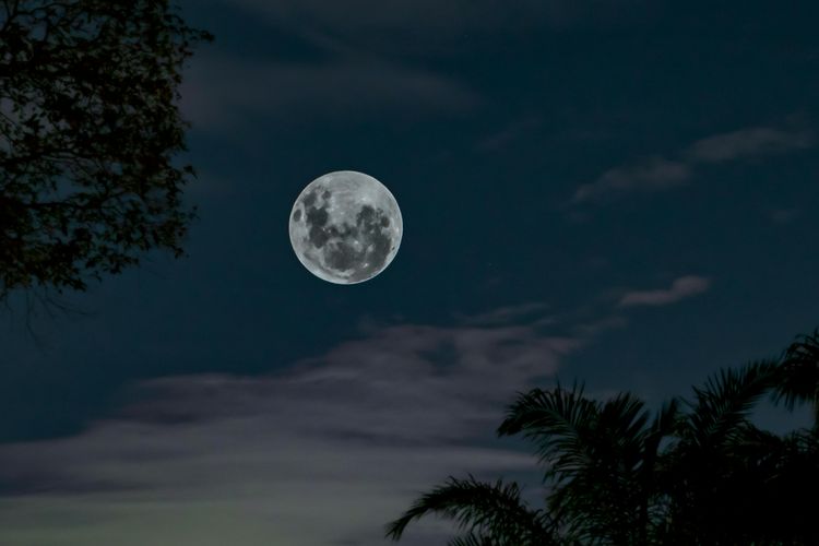 Malam Jumat Ini weton apa? Malam ini adalah malam Jumat keempat yang jatuh di bulan Oktober 2025, cek wetonnya dalam dalam kalender Jawa.
