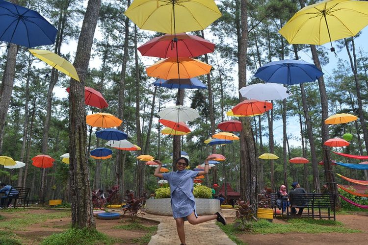 Kemit Forest salah satu wisata instagramable di Kabupaten Cilacap