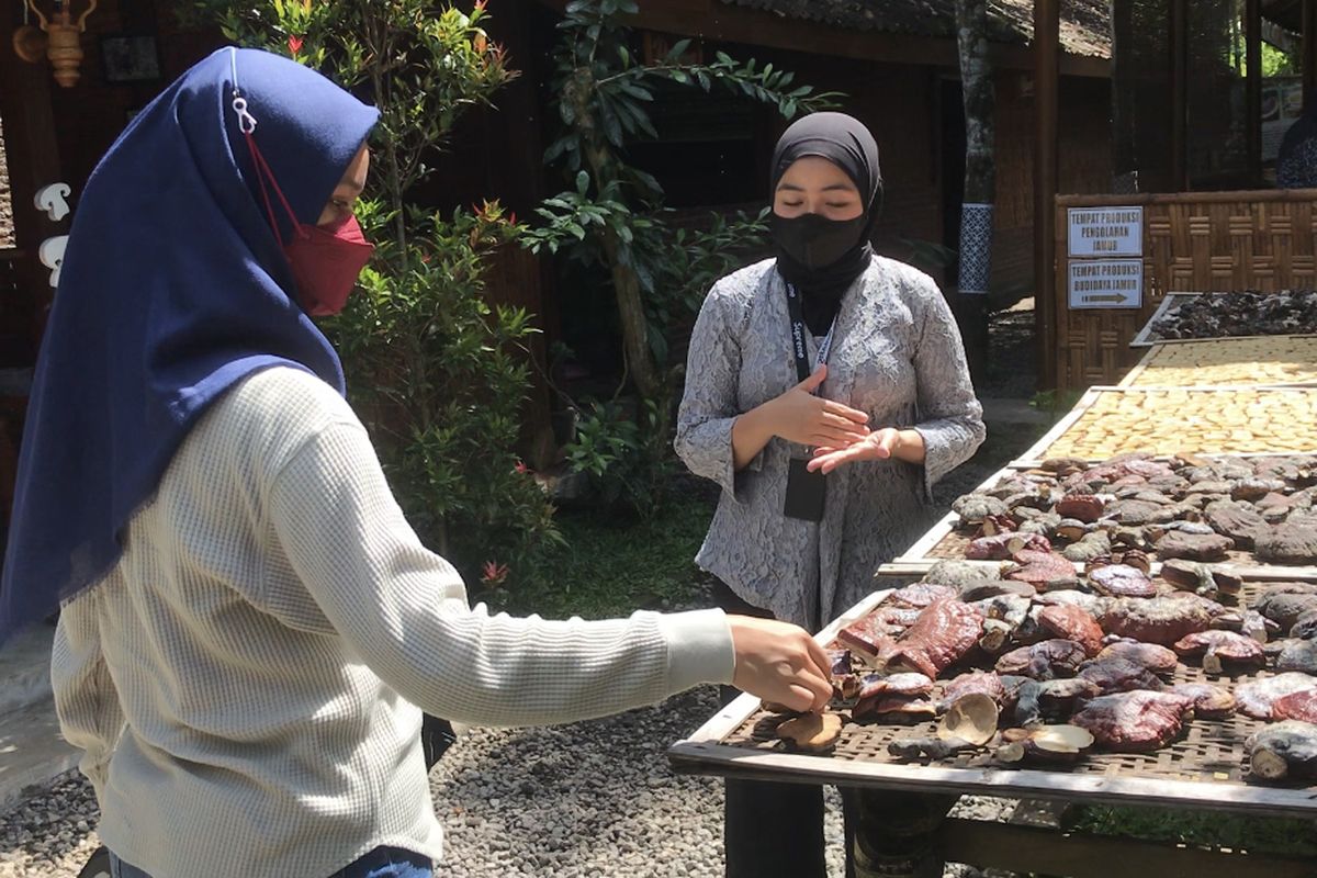 Wisatawan mengunjungi obyek wisata edukasi Jamur Borobudur di Desa Wanurejo, Borobudur, Jawa Tengah pada Jumat (13/5/2022).