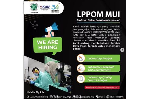 LPPOM MUI Buka Lowongan Pekerjaan untuk Lulusan SMK hingga S1, Simak Informasinya