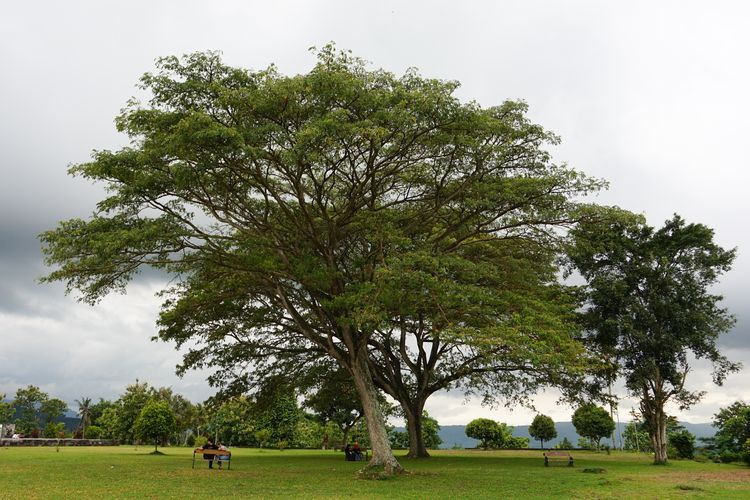 Salah satu area untuk duduk dan bersantai di Ratu Boko, Yogyakarta, Jumat (17/12/2021).