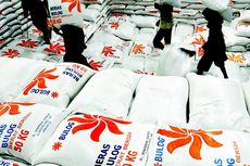 Stok Menipis Jadi Alasan Pemerintah Akan Impor Beras 500.000 Ton