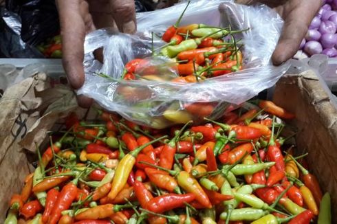Cabai Rawit Impor dari India Diminati Karena Lebih Pedas