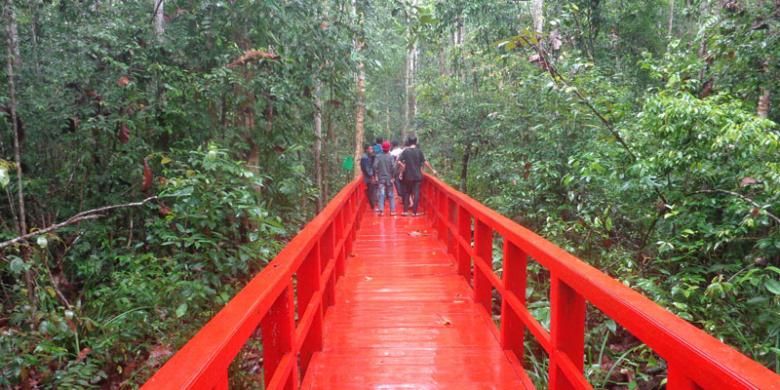 Hutan Pelawan di Kabupaten Bangka Tengah sebagai salah satu obyek wisata di Provinsi Bangka Belitung.