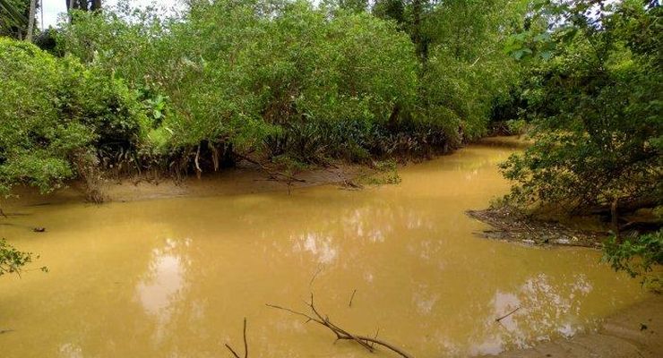 Warga IKN Terdampak Proyek Normalisasi Sungai Sepaku, BWS Kalimantan IV: Tidak Ada Relokasi, Hanya Ganti Rugi