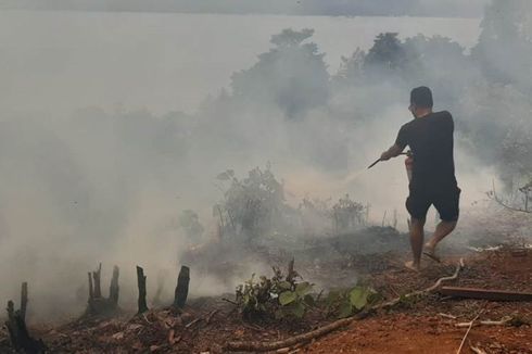 Kebakaran Hutan Hanguskan Kebun Cengkih Milik Warga di Ambon