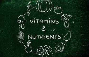 Ilustrasi zat makanan bagi tubuh