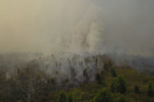 Selain Riau, Ini Provinsi dengan Kebakaran Hutan Parah Tahun 2019