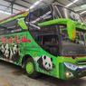 Lihat Bus Baru PO Restu, Banyak Ornamen Panda Sampai ke Kabin