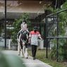 5 Tempat Wisata Keluarga di Tangerang, Bisa Keliling Naik Kuda Poni