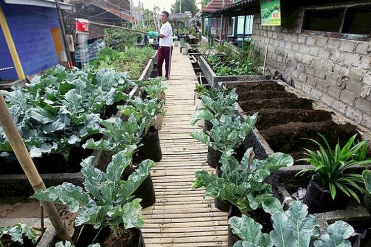 Hijaukan Bandung Banggakan Bangsa Halaman All Kompas Com