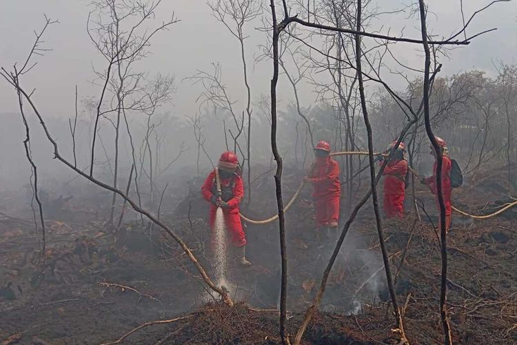 Lahan Seluas 6 Hektare di OKI Terbakar, Satu Helikopter Water Bombing Diturunkan