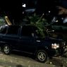 Angin Kencang di Jakarta, Pohon Tumbang Timpa Mobil di Pulogadung