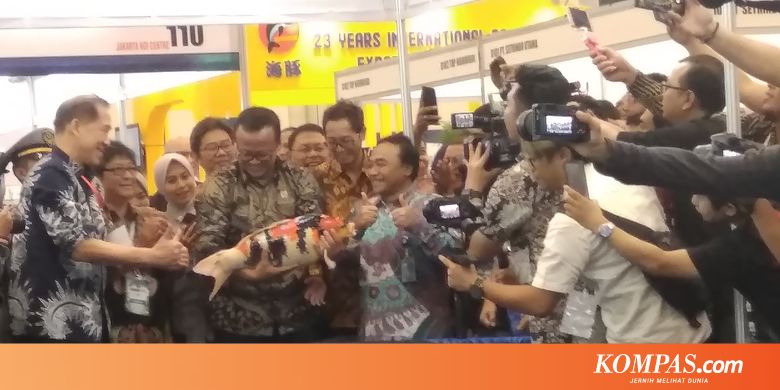 Edhy Prabowo Siap Dukung Ikan Hias Indonesia - Kompas.com - KOMPAS.com