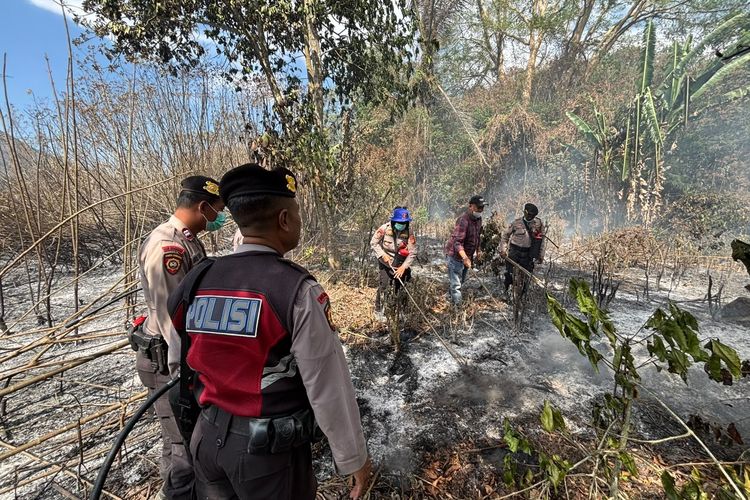 Kebakaran Hutan Konservasi di Kintamani Bali Merembet ke Lahan Warga, 1 Hektar Terbakar