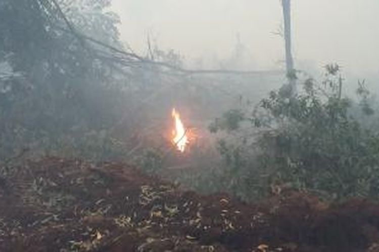 Kebakaran hutan di Kabupaten Ogan Komering Ilir, Sumatera Selatan, Selasa
(27/10/2015).
