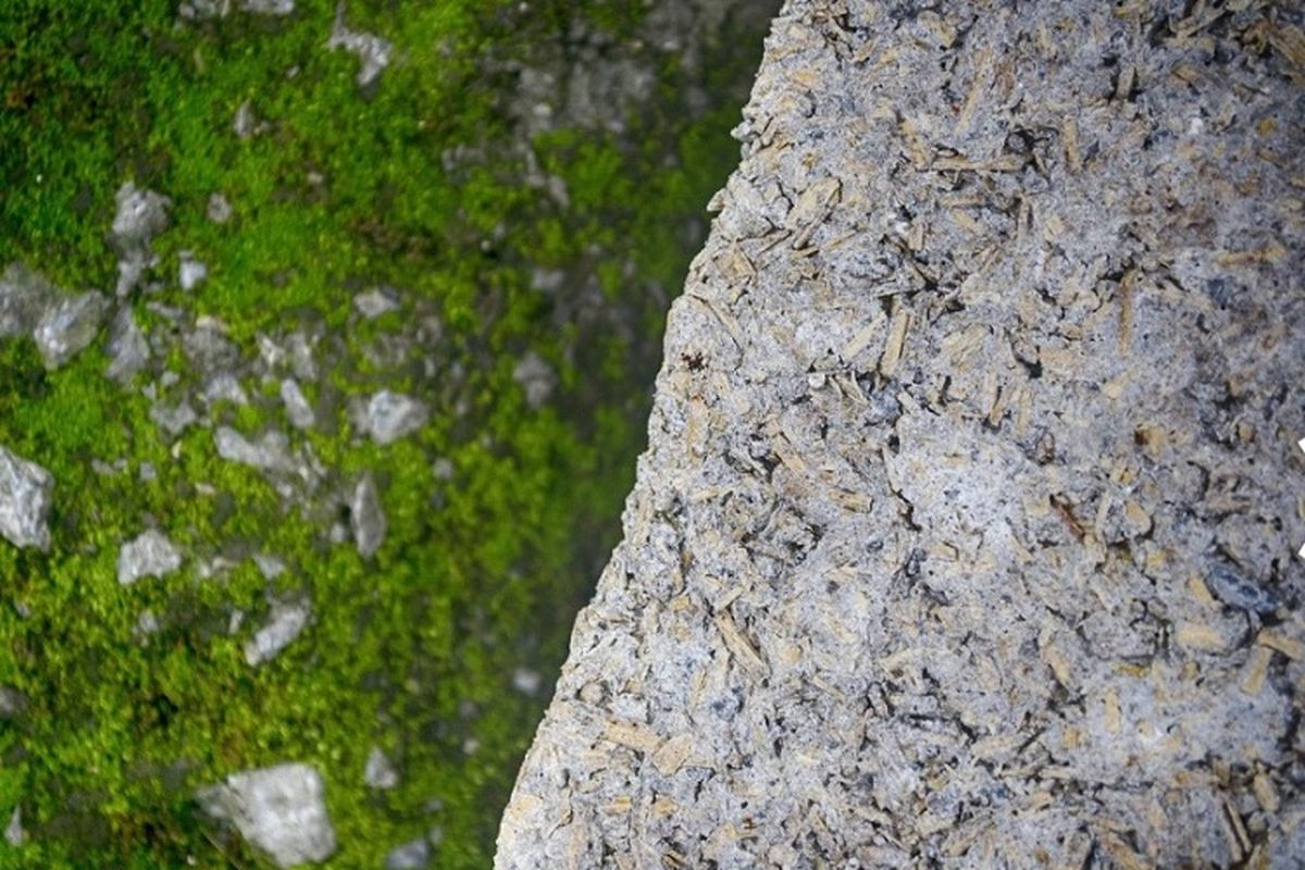 Hempcrete merupakan material konstruksi yang terbuat dari campuran bahan alami yakni kapur dan rami. 