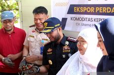 UMKM Asal Gorontalo Ekspor Perdana 71,6 Kilogram Kepiting Bakau ke Singapura