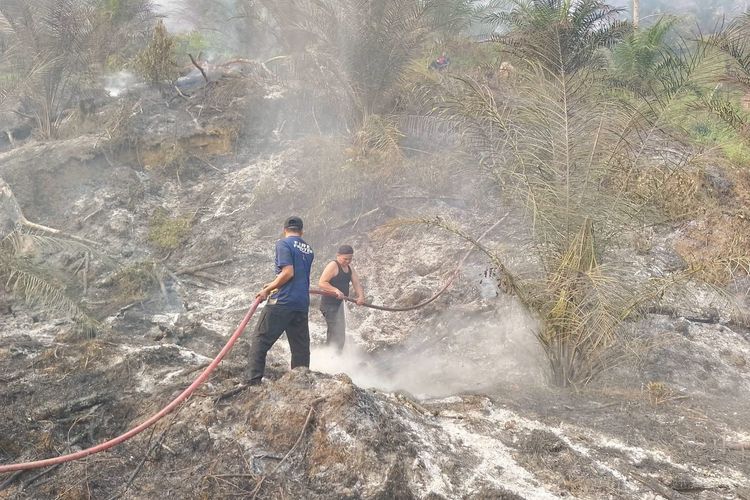274 Hotspot Terdeteksi di Sumbar hingga 8 September, Warga Diminta Waspada Karhutla